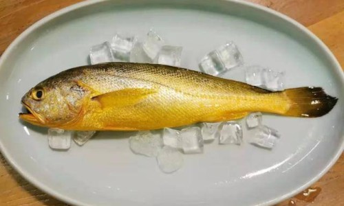 小黄鱼小头和大头哪个好吃-小黄鱼头的功效与作用-专业小黄鱼头像图片平台-小黄鱼头皮去掉除腥味的方法