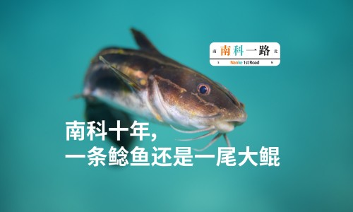 小黄鱼小头和大头哪个好吃-小黄鱼头的功效与作用-专业小黄鱼头像图片平台-小黄鱼头皮去掉除腥味的方法