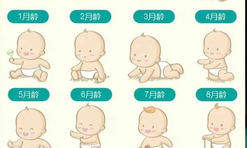 小黄鱼头的功效与作用-专业小黄鱼头像图片平台-小黄鱼头皮去掉除腥味的方法