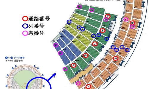 去头小黄鱼炖汤秘诀-小黄鱼头的功效与作用-专业小黄鱼头像图片平台-小黄鱼头皮去掉除腥味的方法